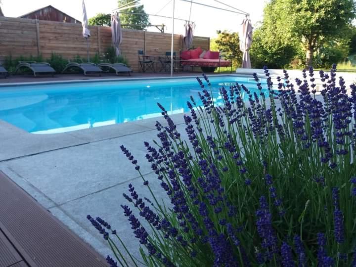 Chambres D Hotes ,Hotel ,Secret D'Une Nuit A Vicq Pres De Onnaing,Avec Piscine ภายนอก รูปภาพ