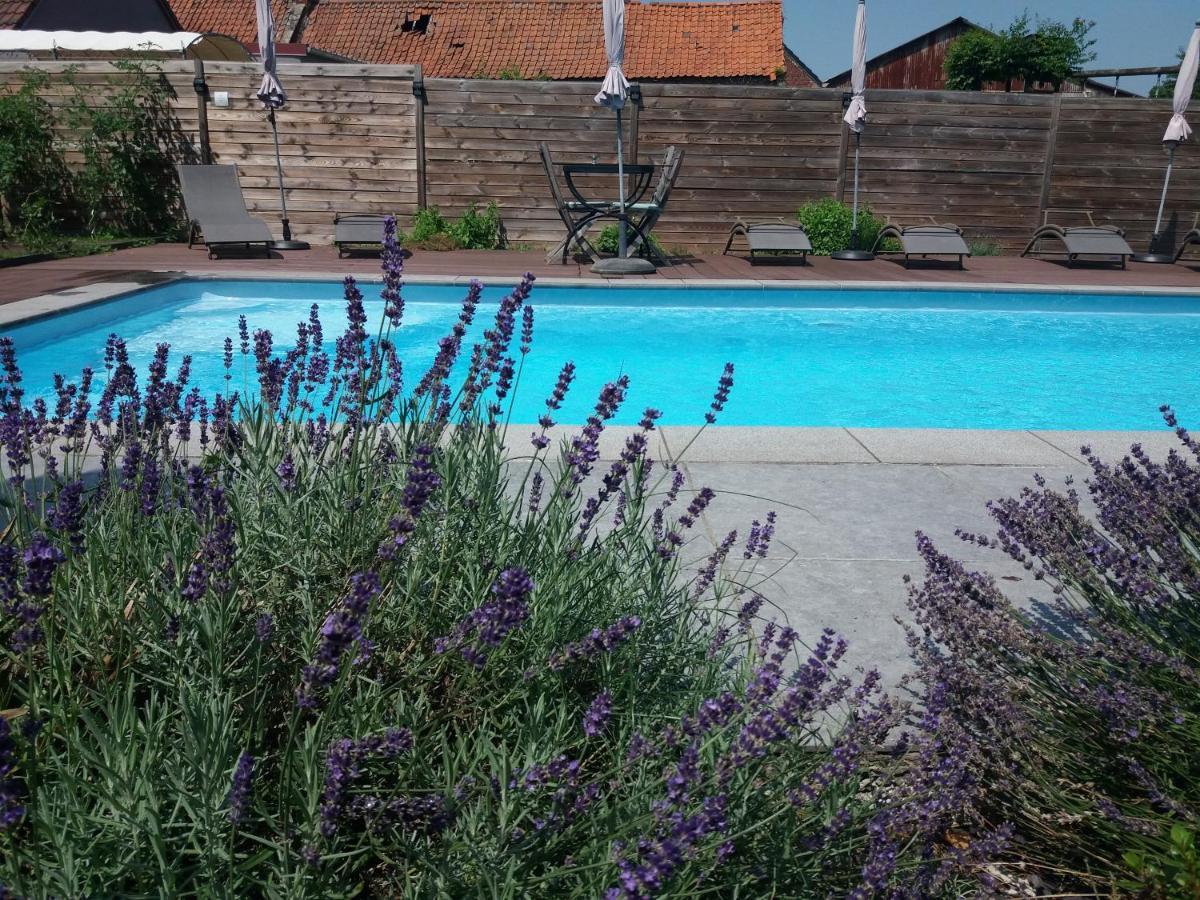 Chambres D Hotes ,Hotel ,Secret D'Une Nuit A Vicq Pres De Onnaing,Avec Piscine ภายนอก รูปภาพ